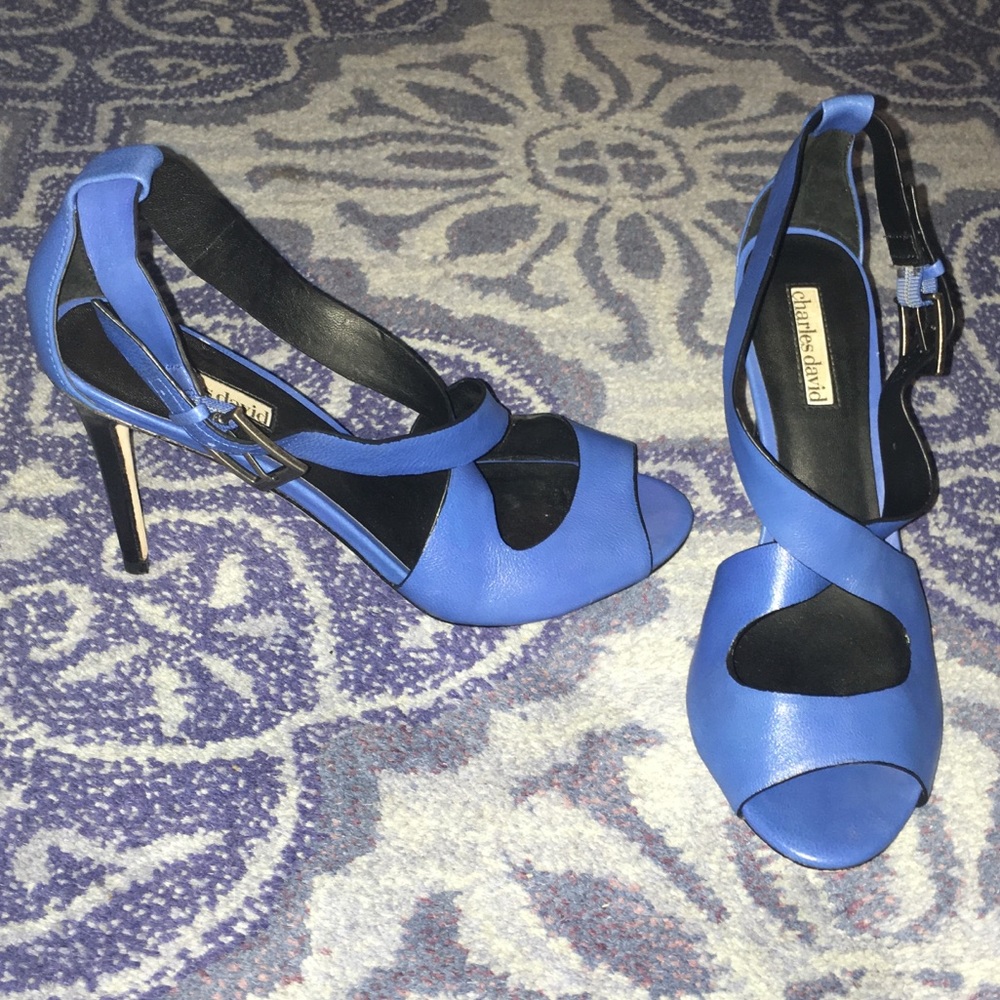 CLOSET CLOSING! 8.5 Charles David stilettos blue